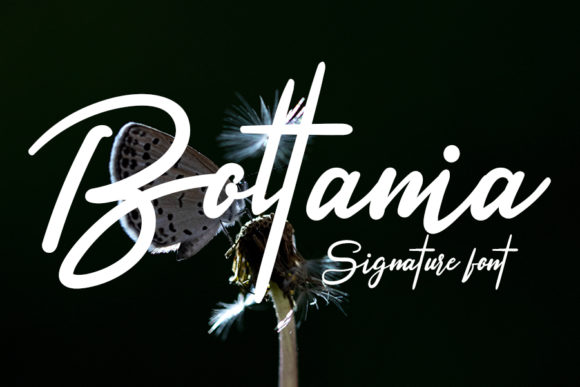 Boltania: A Font That Elevates Your Brand