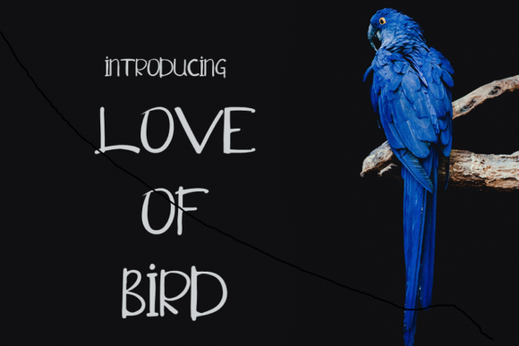 Love of Bird: A Handwritten Script Font That Feels Like a Warm Hello