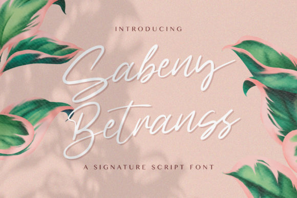 Sabeny Betranss: A Script Amp for Web Design