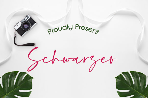Scarf the Luxury of Schwarzer